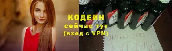 дурь Алексин