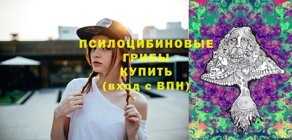 PSILOCYBIN Аркадак