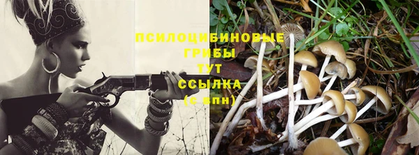 PSILOCYBIN Арсеньев