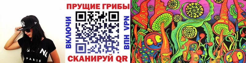 блэк спрут   Губкин  Псилоцибиновые грибы Cubensis 