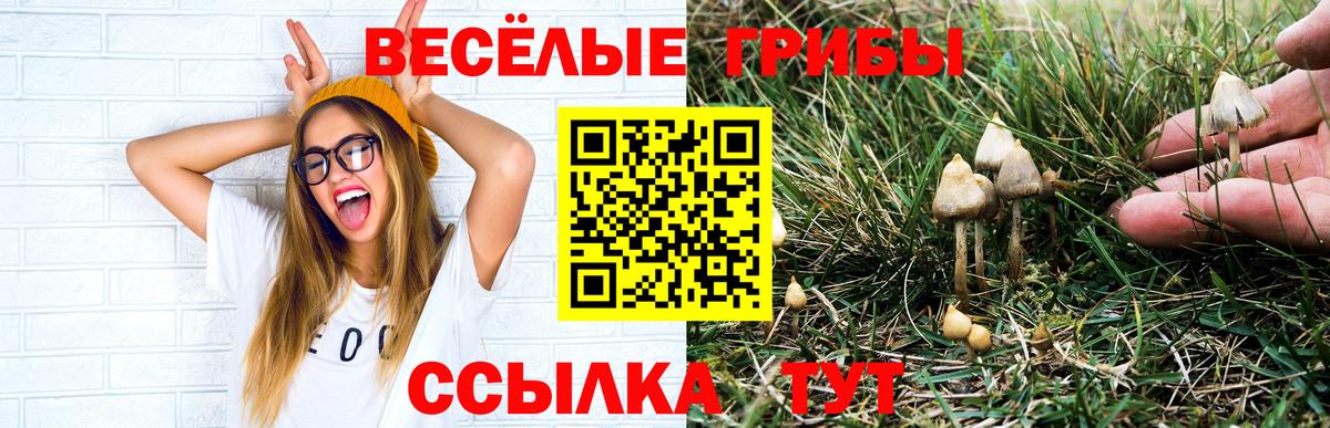 Псилоцибиновые грибы мицелий  Галлюциногенные грибы мухоморы  закладка  Вход с VPN  Губкин 