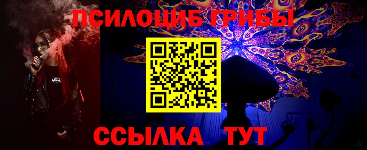 Псилоцибиновые грибы мицелий Губкин